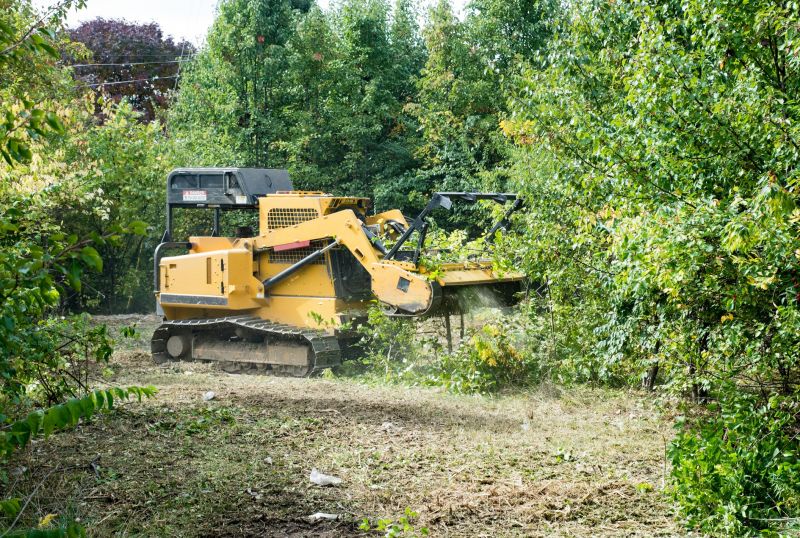 Heavy Machinery for Tree Removal