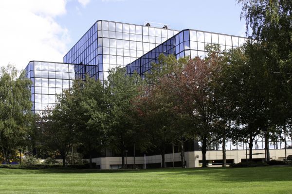 Commercial Tree Trimming in Ashburn